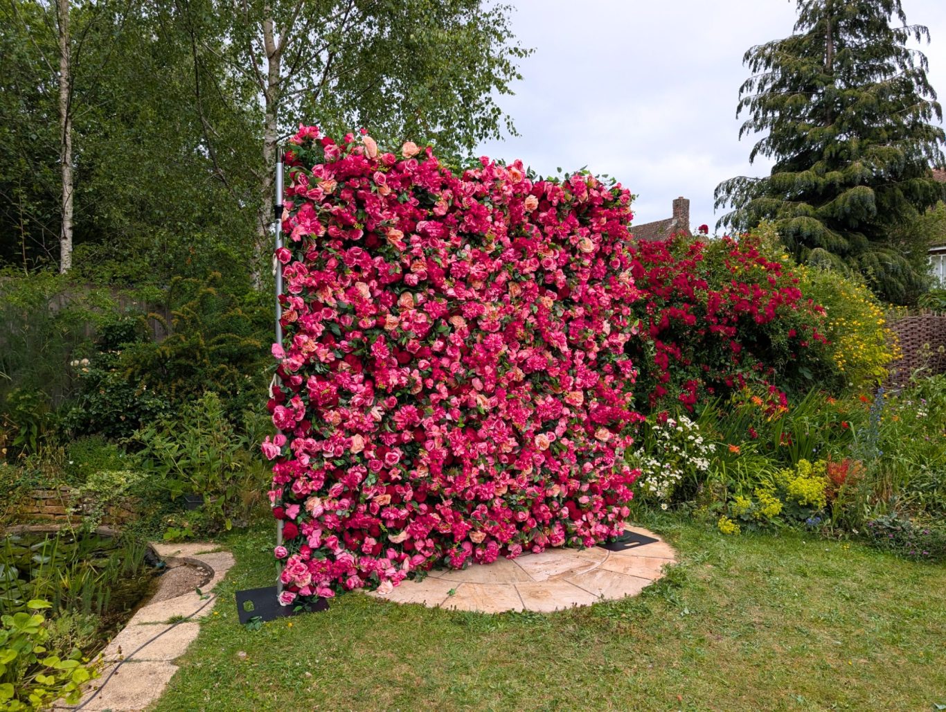 Edith - Size: Regular Vibrant pink flowers arranged on a wooden trellis, set in a garden.