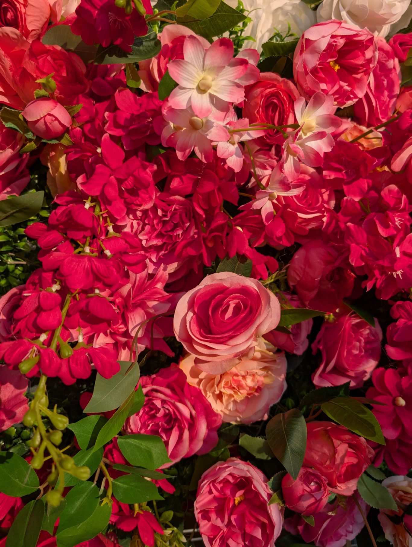 Edith - Detail during golden hour A vibrant arrangement of red and pink flowers with green foliage.